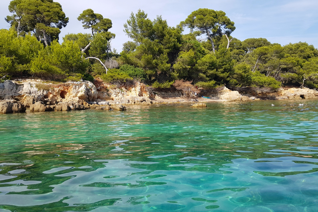 Îles de Lérins Cannes nature Méditerranée