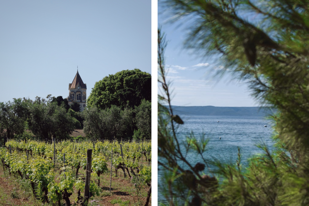 Visiter Cannes en janvier : la Côte d’Azur autrement